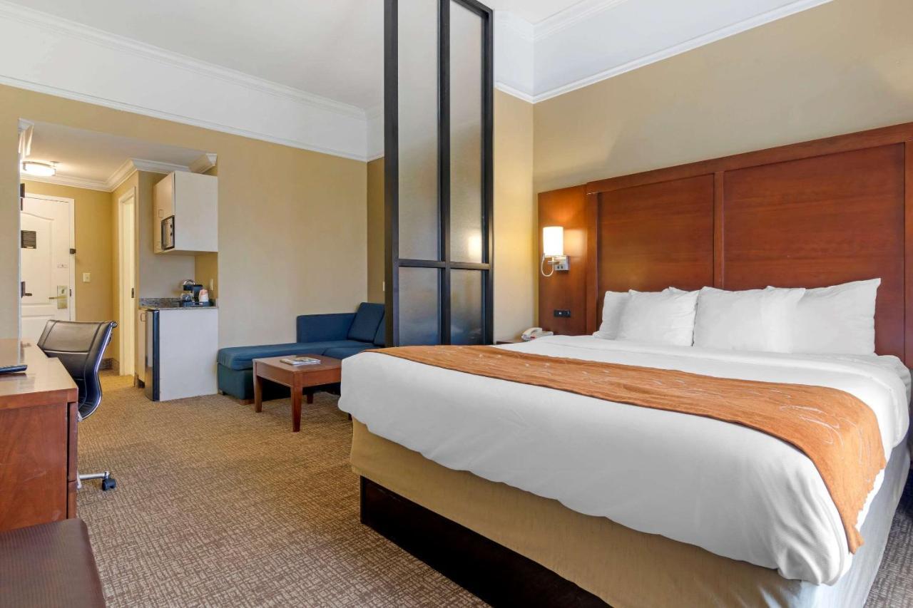 Comfort Suites Savannah North Port Wentworth Zewnętrze zdjęcie