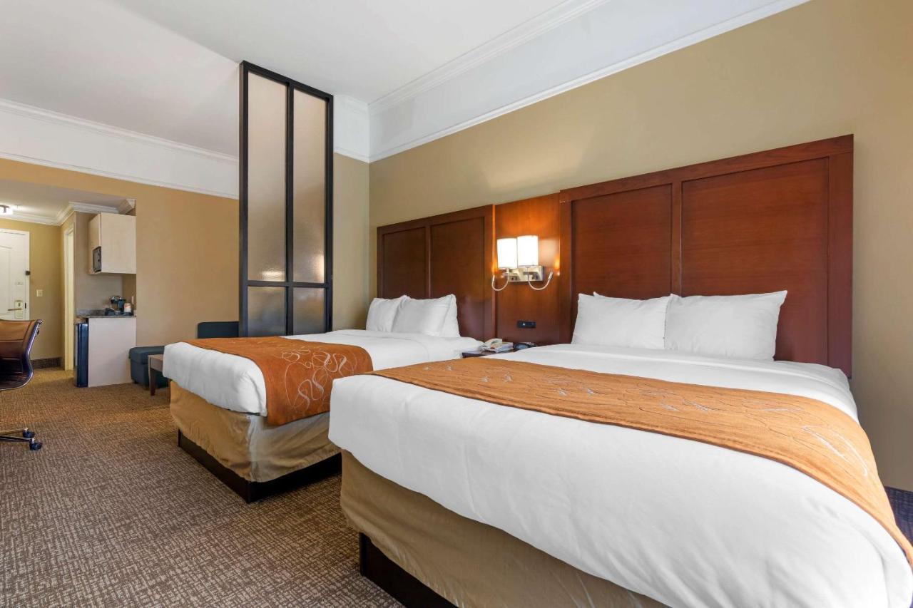Comfort Suites Savannah North Port Wentworth Zewnętrze zdjęcie